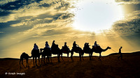Camel riding in Agafey Desert - Aug 25
